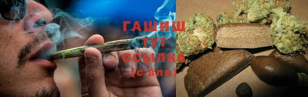 стаф Гусь-Хрустальный