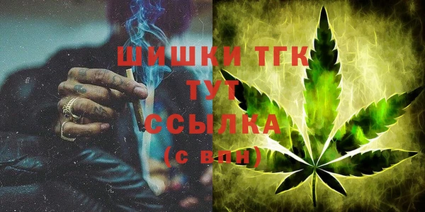 стаф Гусь-Хрустальный