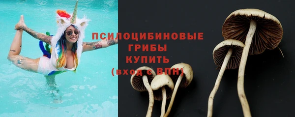 стаф Гусь-Хрустальный