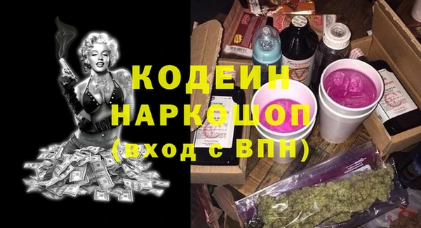стаф Гусь-Хрустальный