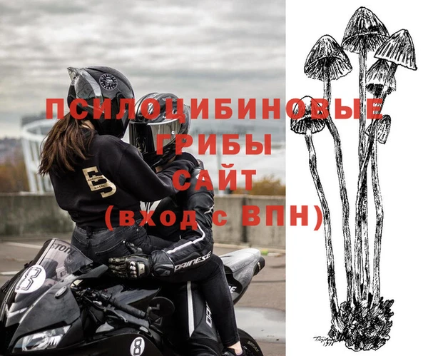 кристаллы Гусев